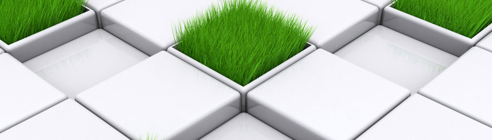 Commercial landscape maintained by Coy Landscape & Maintenance